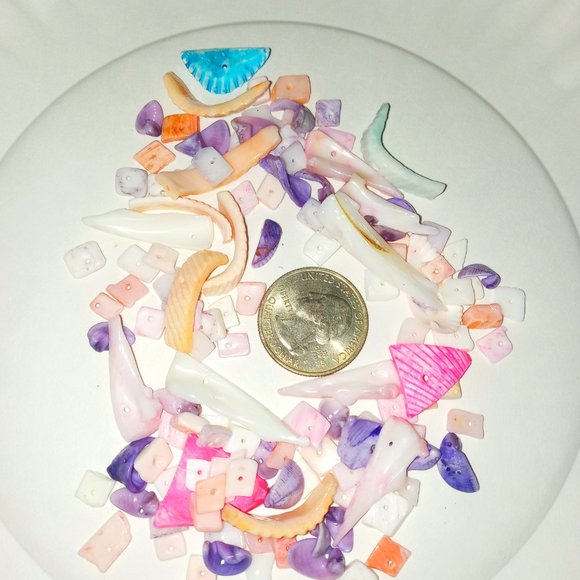 20 random puka shells See quarter for size reference NEW - Picture 2 of 4